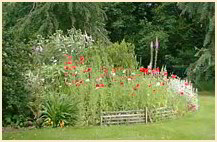 Motorhome Parking & Tourist Info . gardens